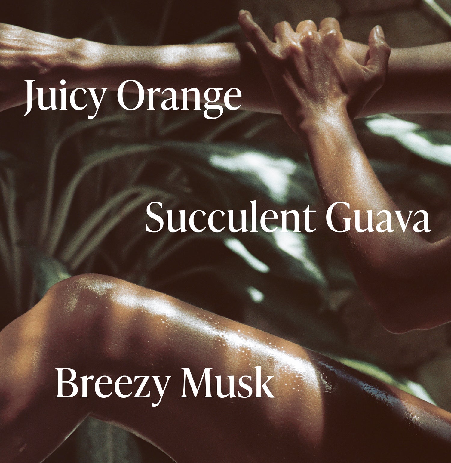 3-SLTR_PDP_BodyButter_ExoticPulp_Notes_2_3000x.jpg