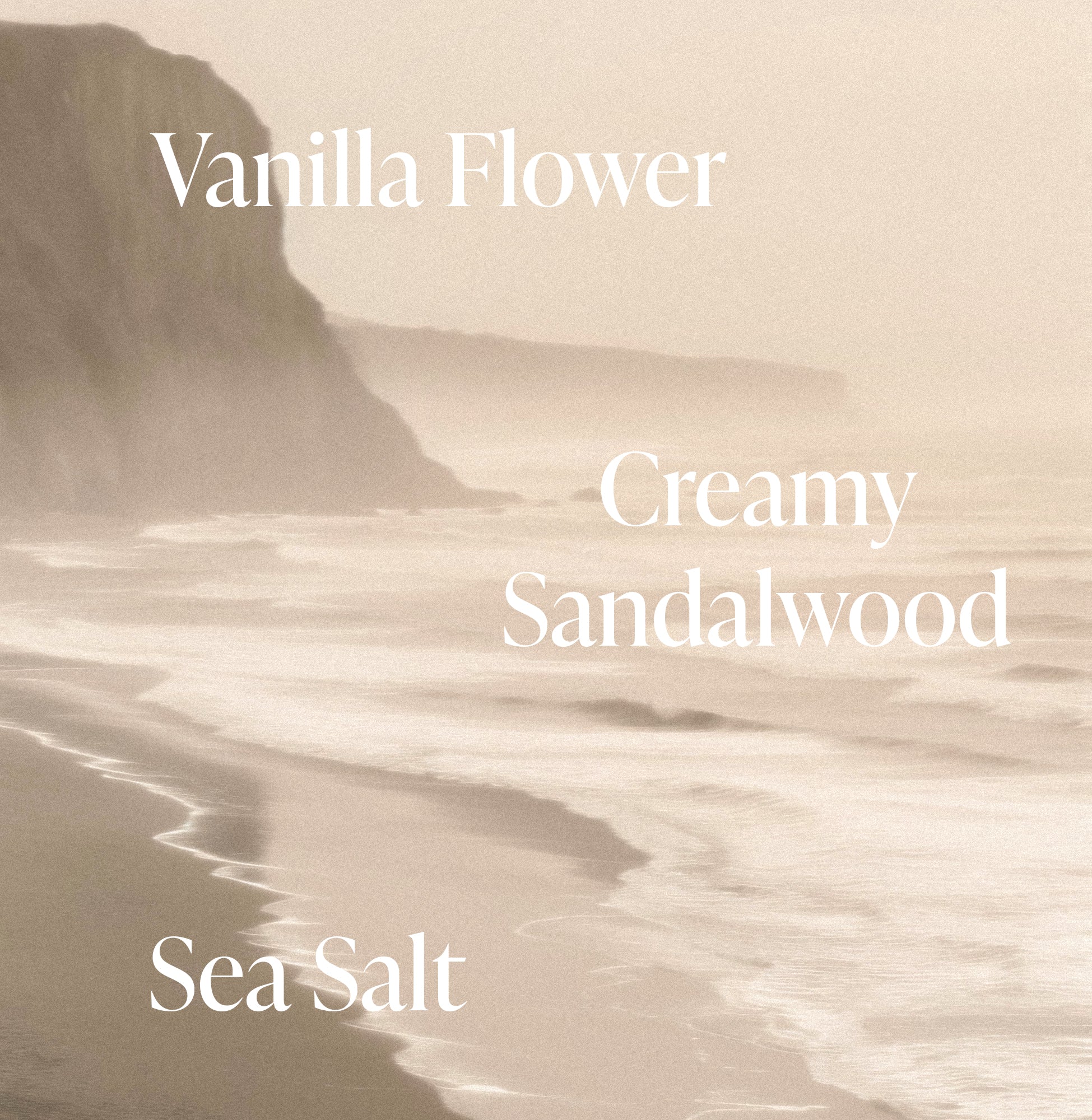 3-SLTR_PDP_BodyButter_SaltWaterVanilla_Notes_2_3000x.jpg