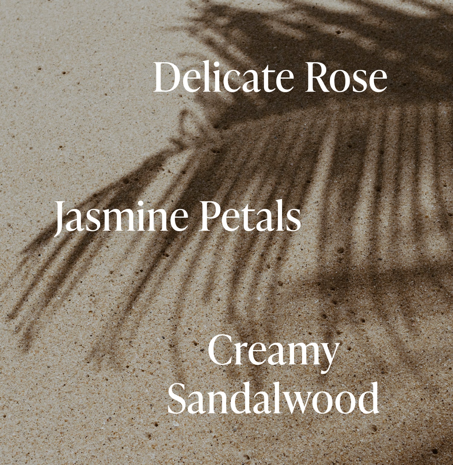 3-SLTR_PDP_BodyMist-PET_SantalBloom_Notescopy_3000x.jpg