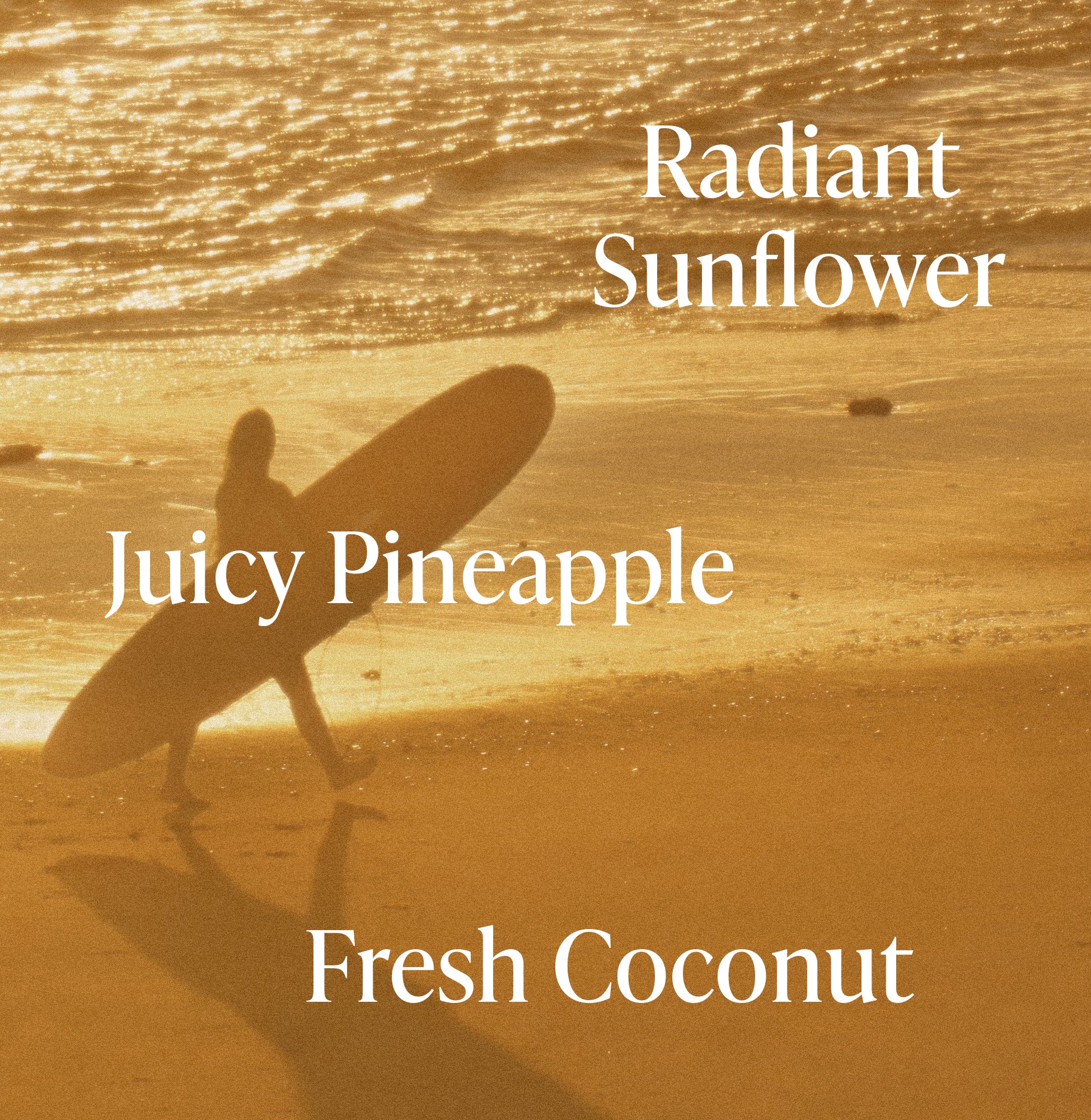 3-SLTR_PDP_FragranceNotes_GoldenHour_3_3000x.jpg
