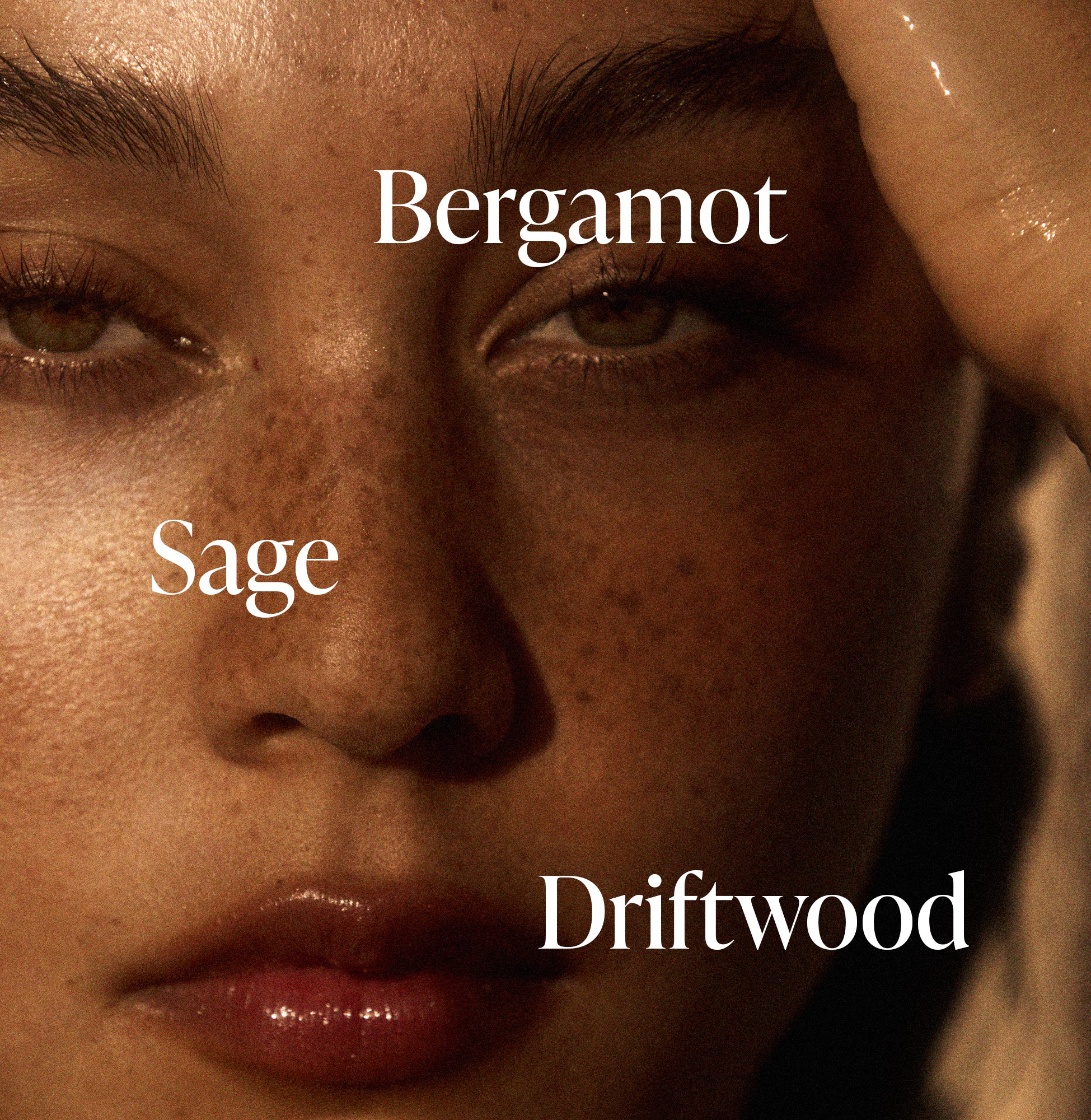 4-SLTR_PDP_FragranceNotes_Driftwood_0f3fbe1f-b9c9-4194-9153-ac695f6027de_3000x.jpg