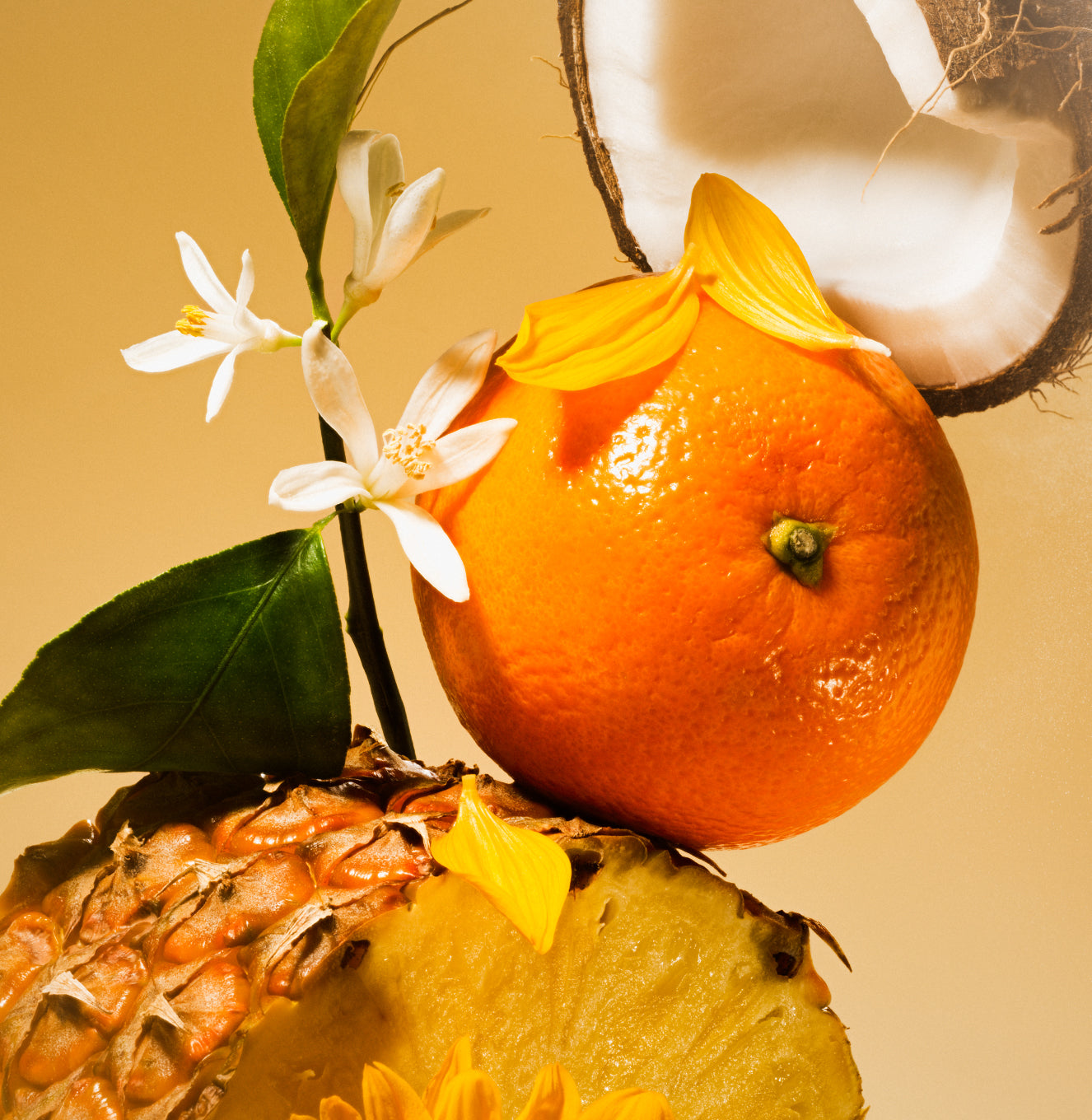 4-SLTR_PDP_Shimmer-BodyOil_GoldenHour_Botanicals_3000x.jpg