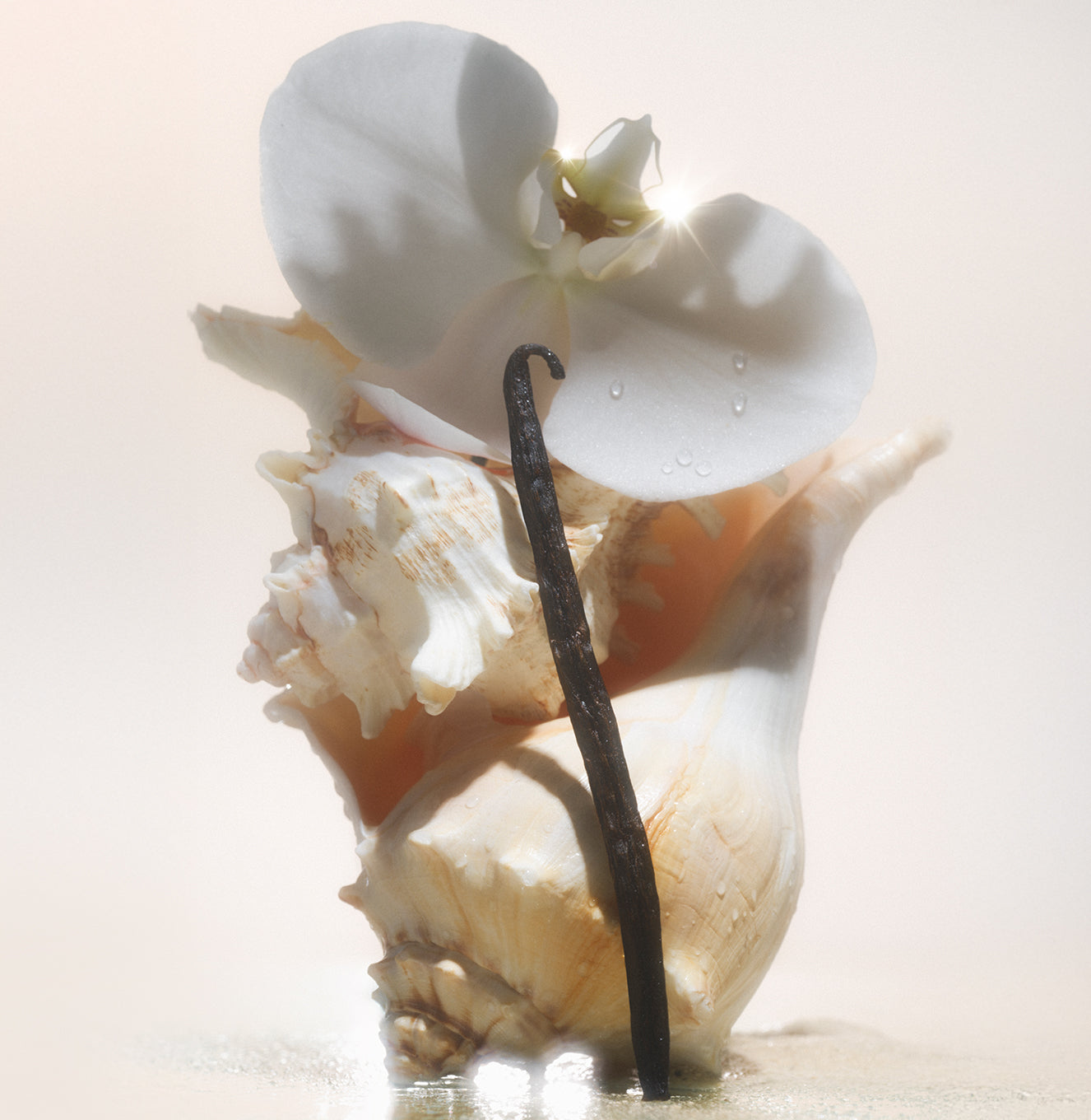 5-SLTR_PDP_SaltWaterVanilla_Botanicals_3000x.jpg