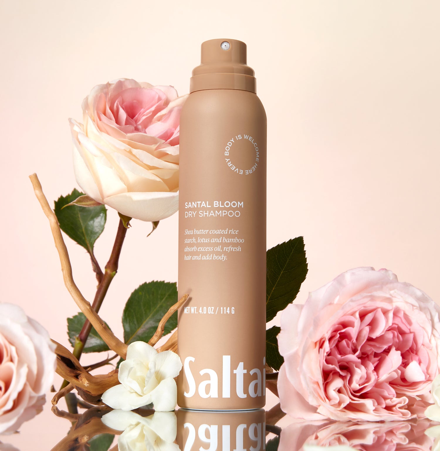 6-SLTR_PDP_DryShampoo_Editorial_3000x.jpg