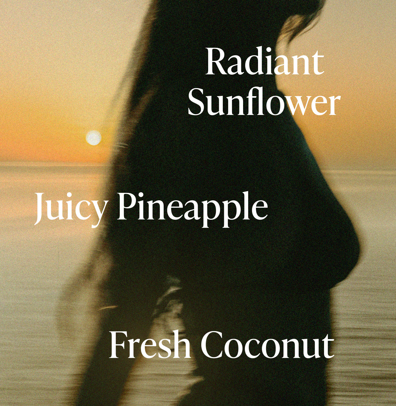 6-SLTR_PDP_Shimmer-BodyOil_GoldenHour_FragranceNotes_3000x.jpg